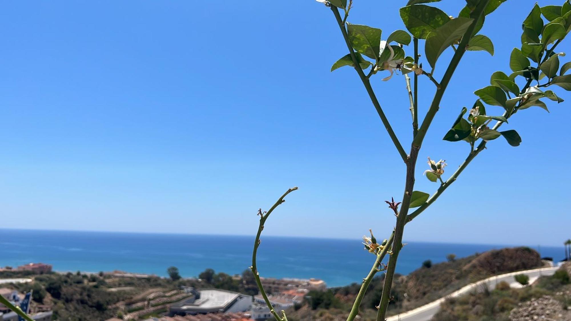 דירות Rincón de la Victoria Rincon Idilia מראה חיצוני תמונה