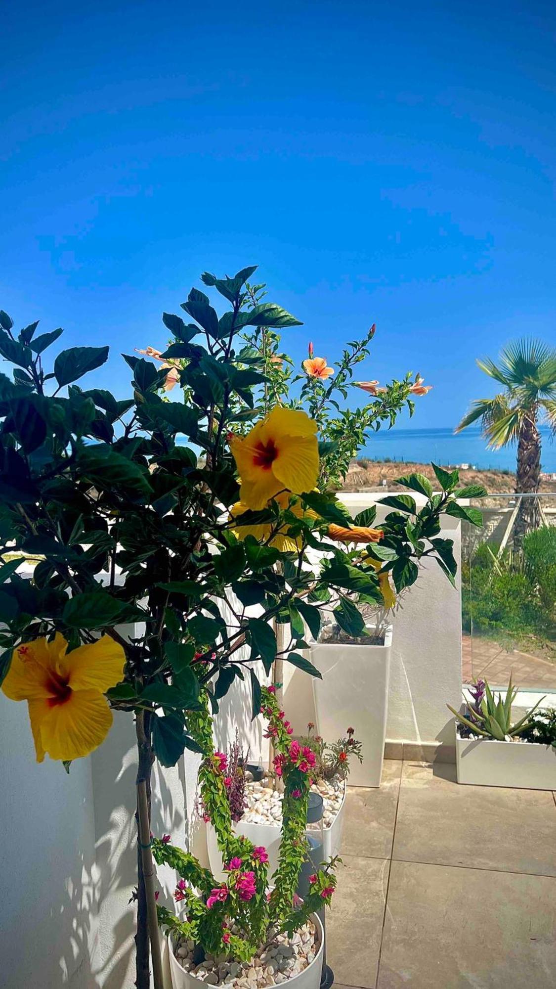 דירות Rincón de la Victoria Rincon Idilia מראה חיצוני תמונה
